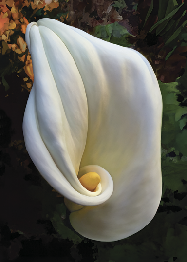 Large, elegant white calla lily dominates the scene with its smooth petals curled